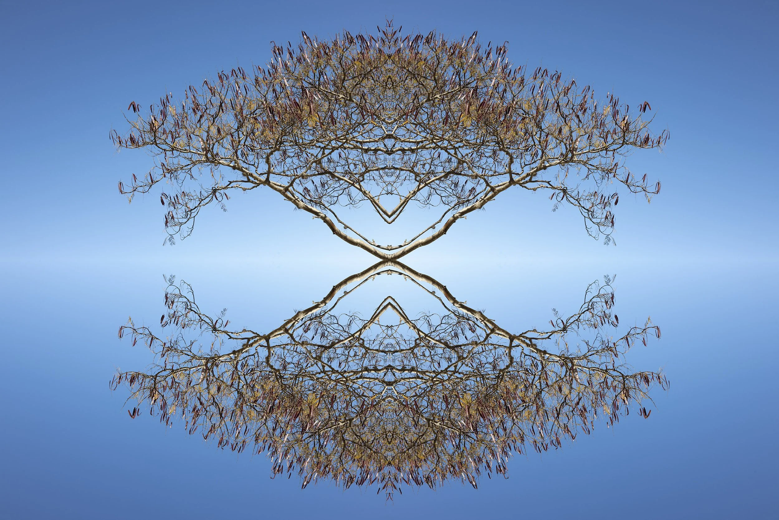 Monte Alban 2 - 2026