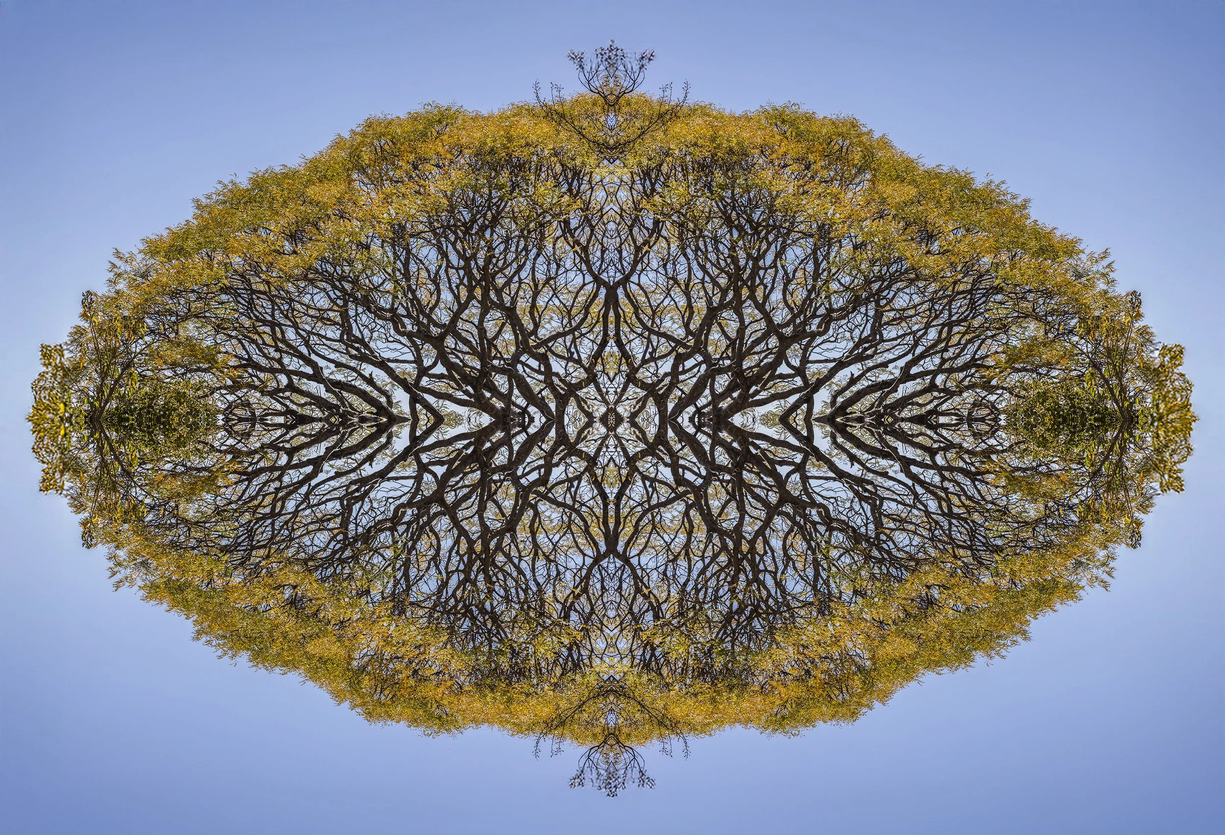 Monte Alban 1 - 2026