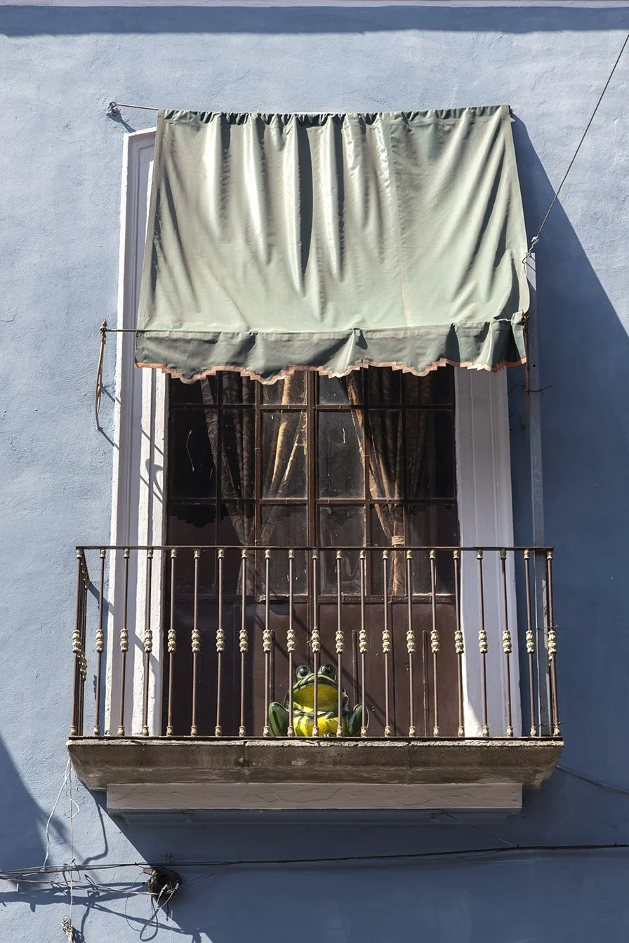 Puebla y la rana, 2026