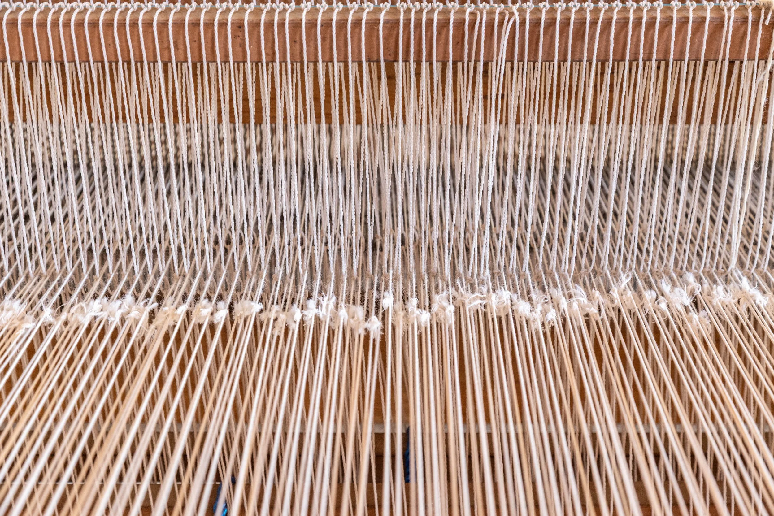 Telar (Oaxaca) - 2026