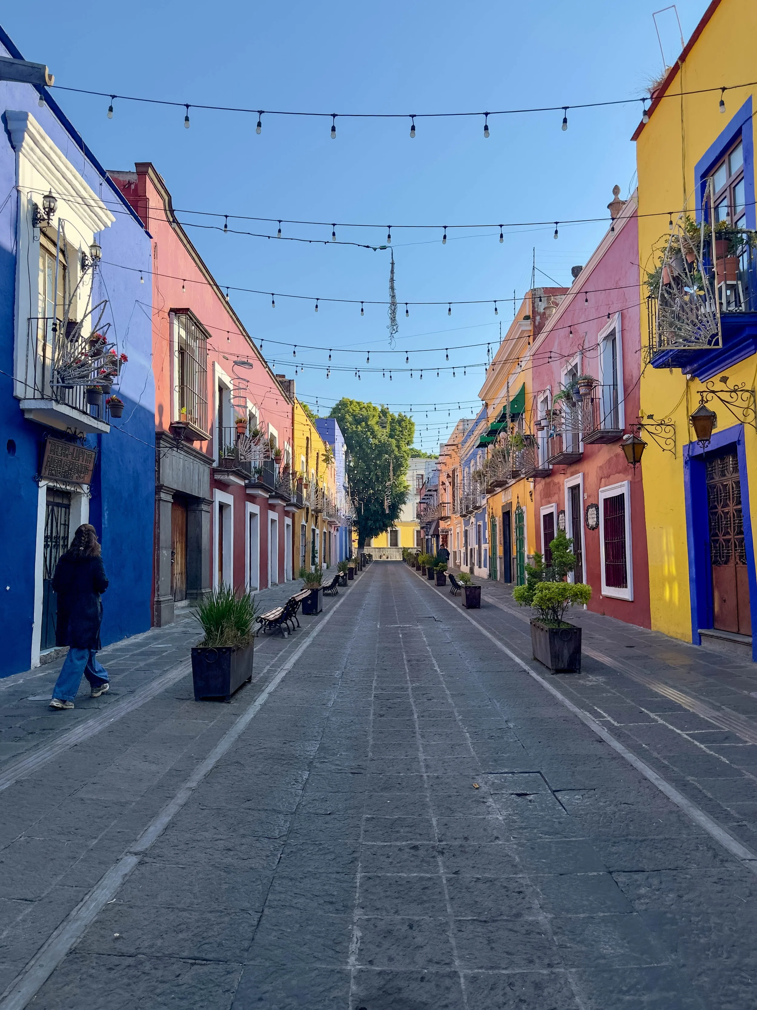Callejón de los Sapos (Puebla) - 2026