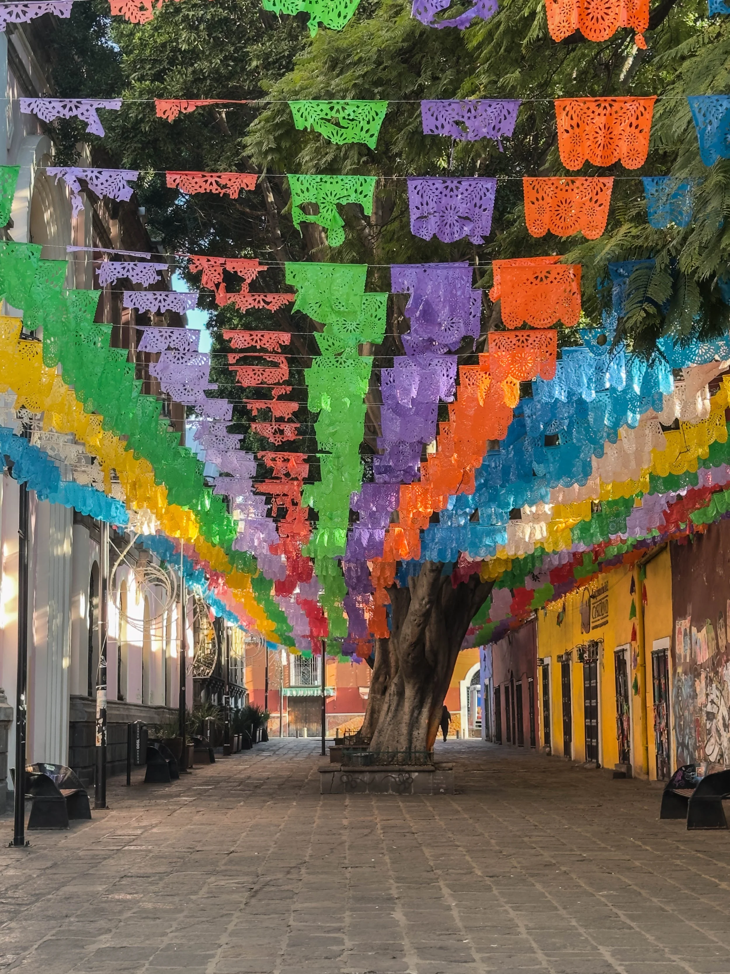 Calle 3 Orte. (Oaxaca) - 2026