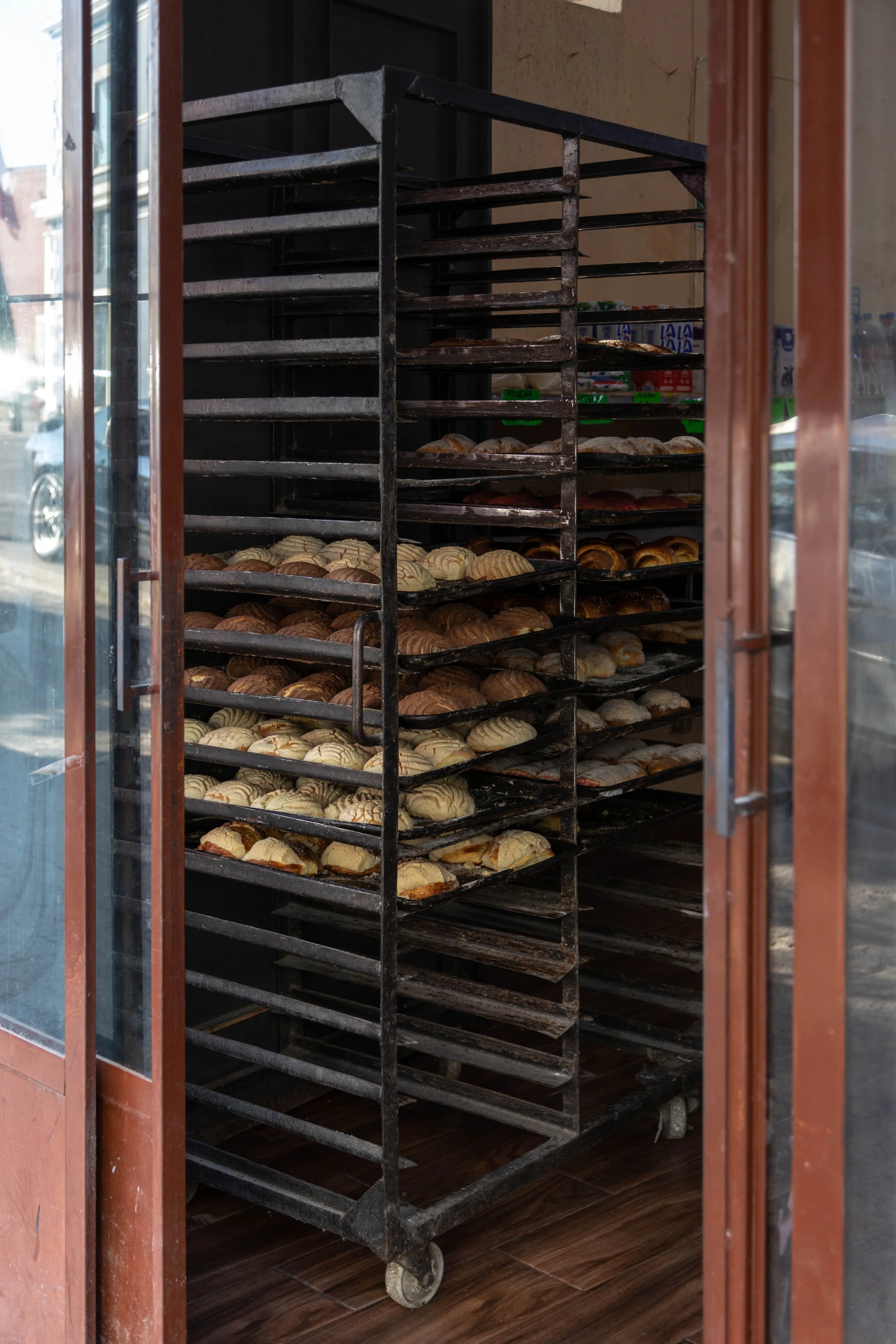 Conchas (Puebla) - 2026