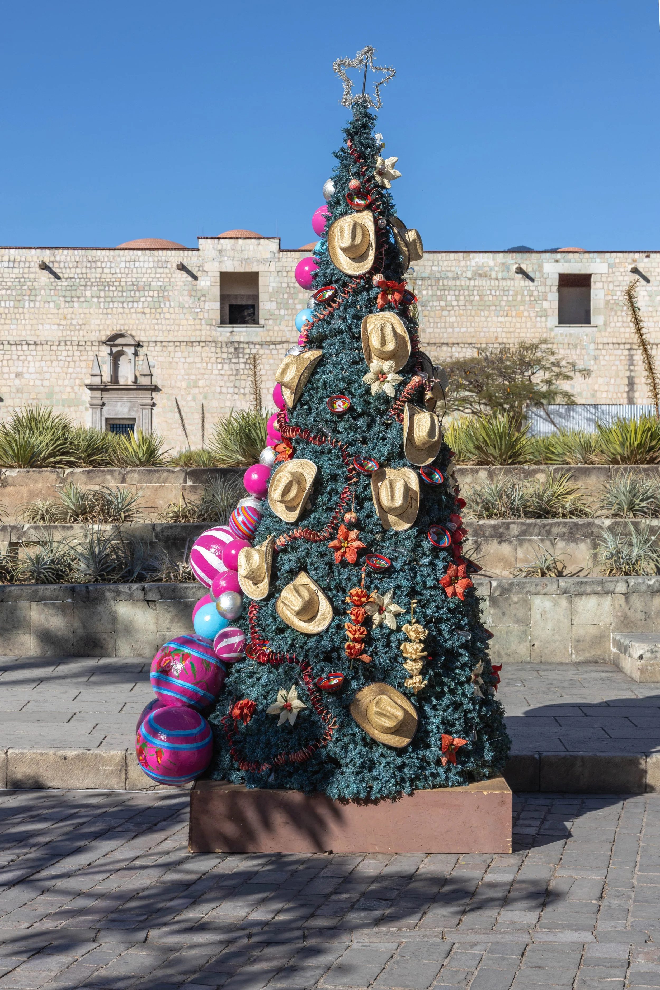 Arbol de Navidad (Oaxaca) - 2026