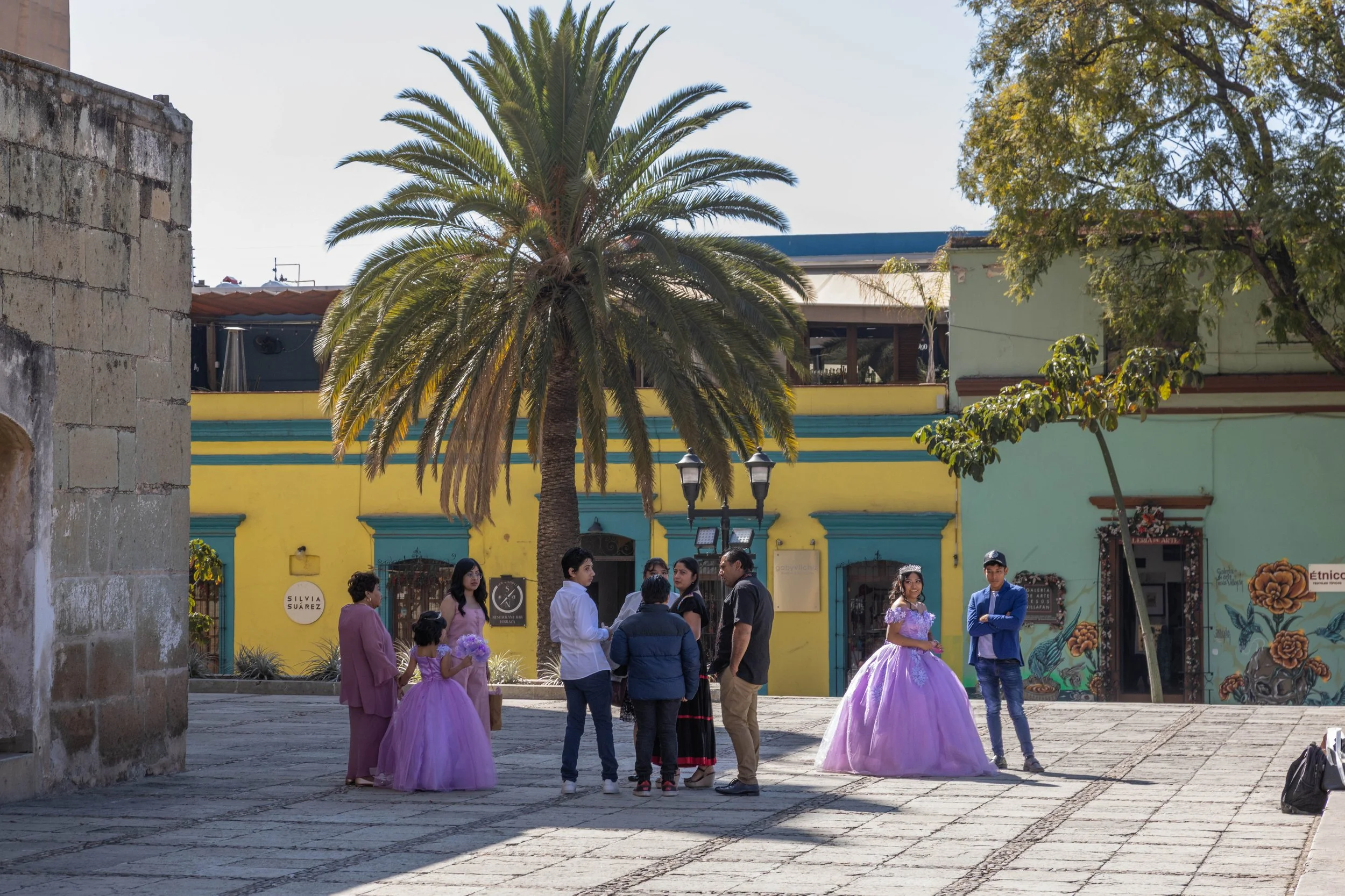 Celebración (Oaxaca) - 2026