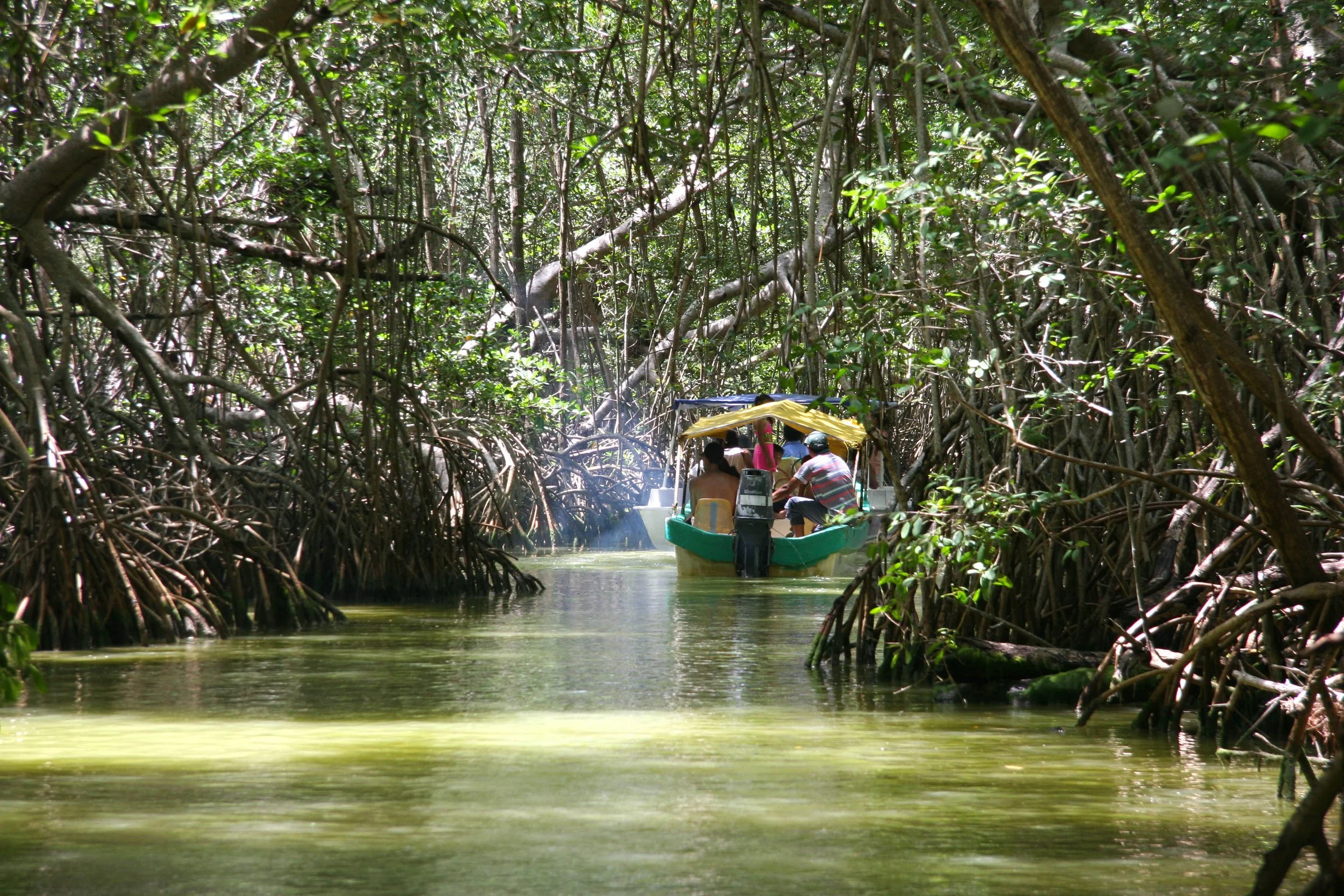 Reserva Celestún 3 (Mérida) - 2006