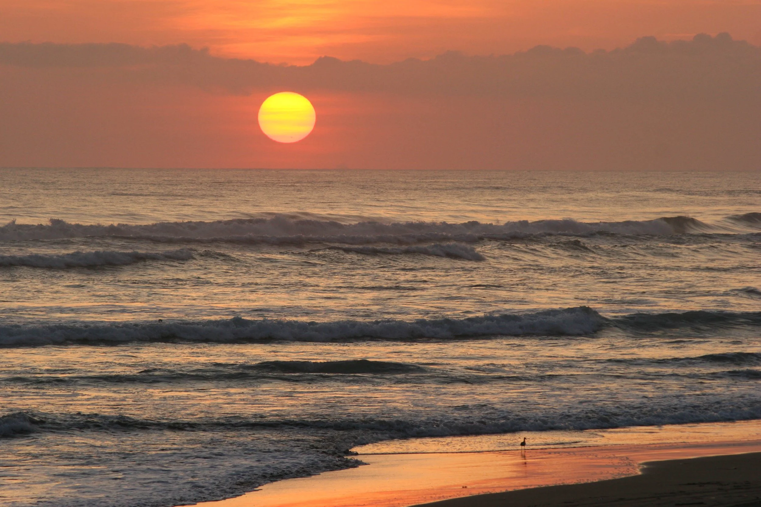 Atardecer 2 (Acapulco) - 2006