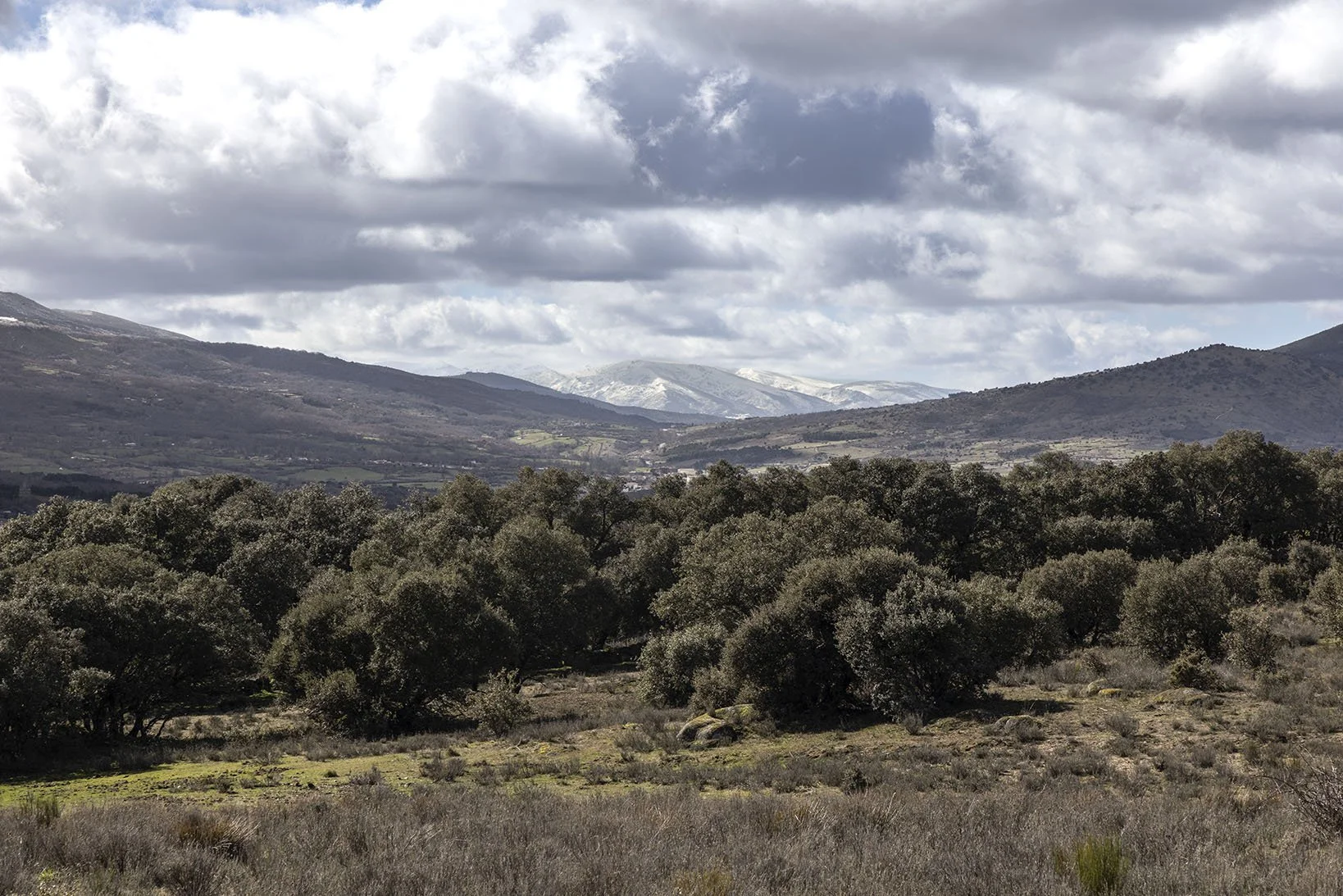 Valle del Corneja y fondo Sierra de El Barco - 2026