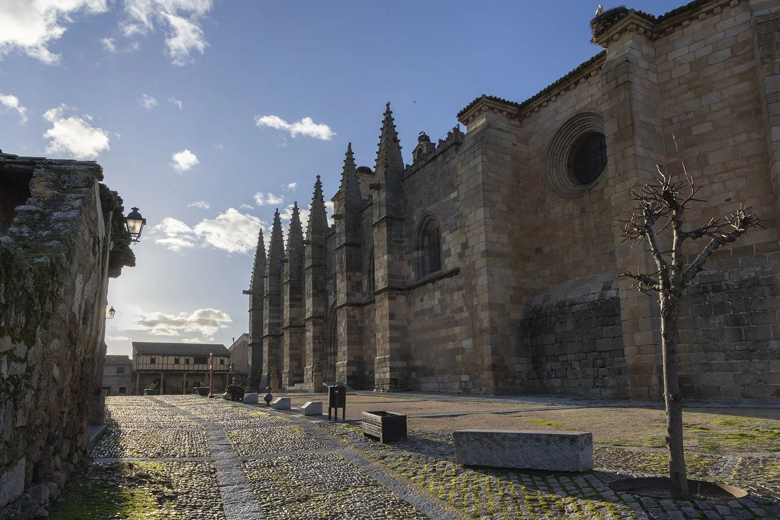 Atardecer en la Plaza y la Colegiata - 2026
