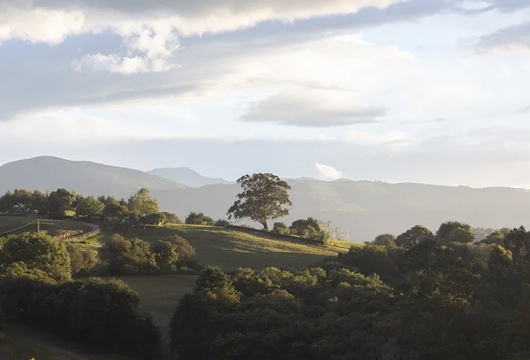Atardecer en Ruiseñada