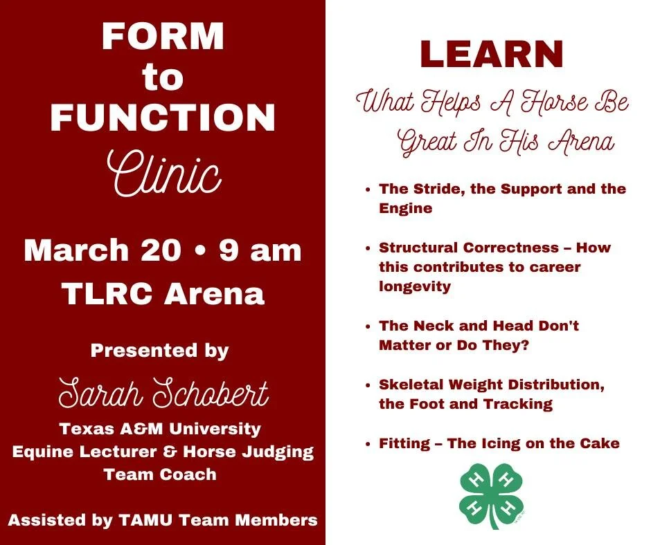 4-H Horse Club - Form to Function Clinic