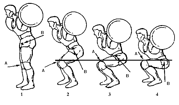 squat-depth_grande.gif