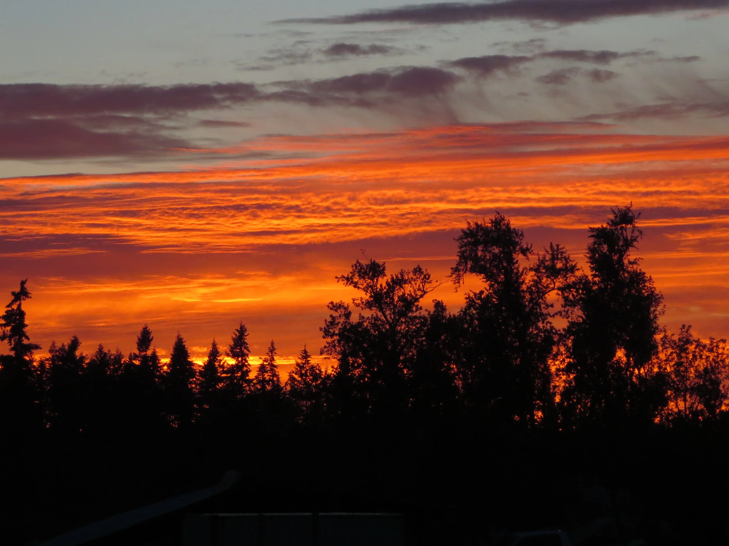 sunsets 6.2 (10).JPG