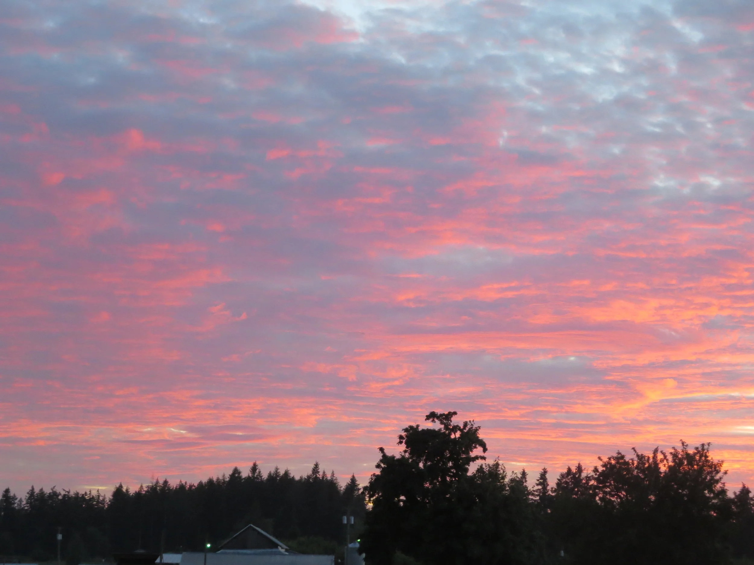 sunsets 6.2 (16).JPG