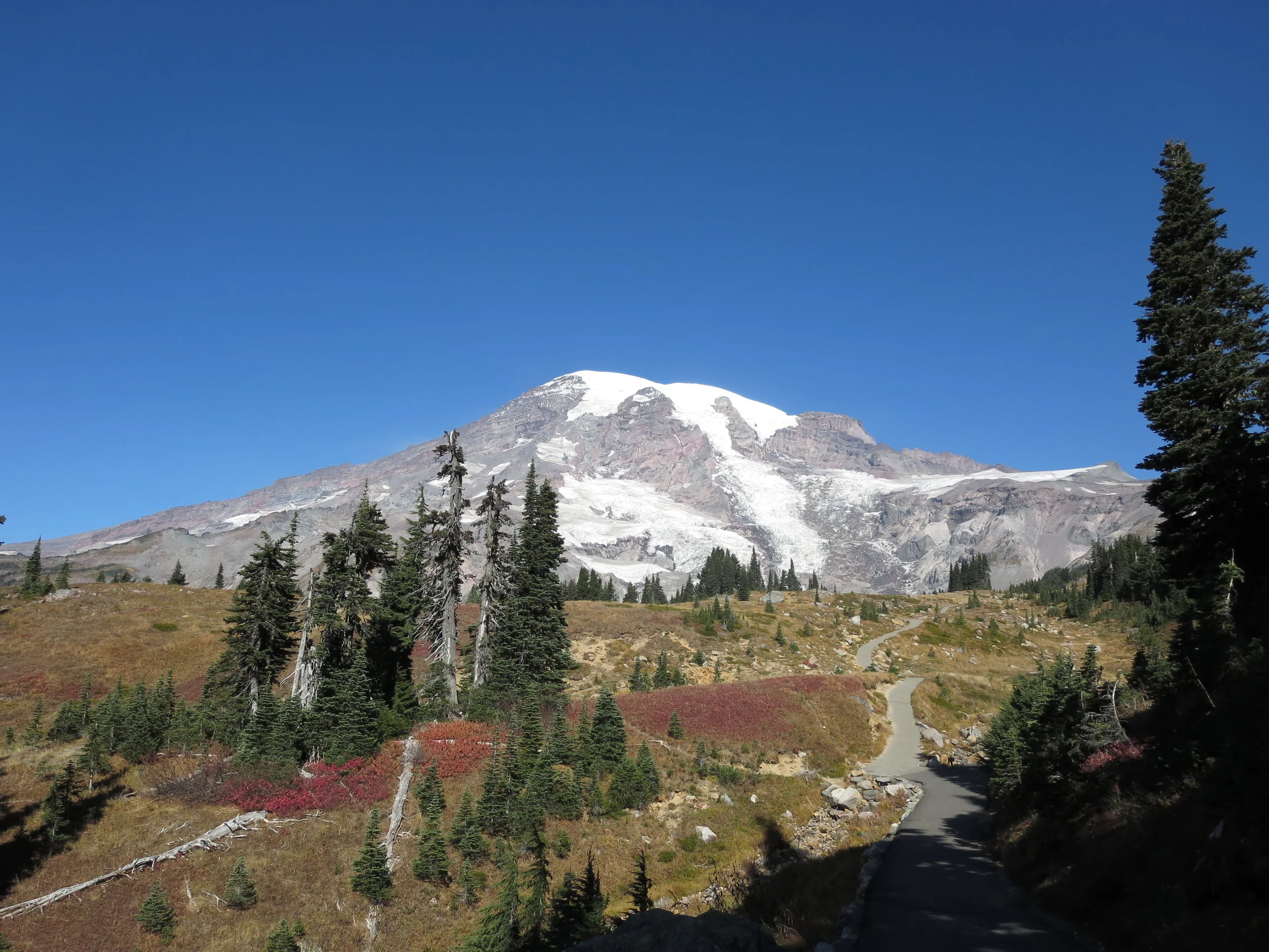 Rhea Rainier 2015 (76).JPG