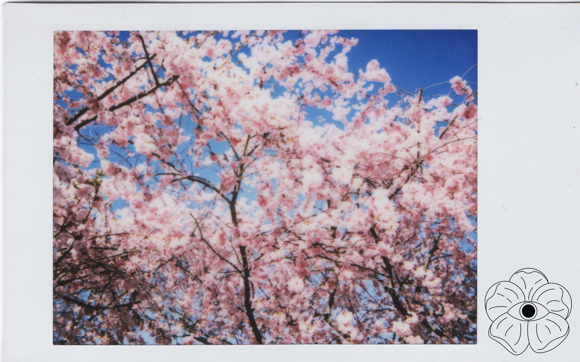 instax2final.jpg