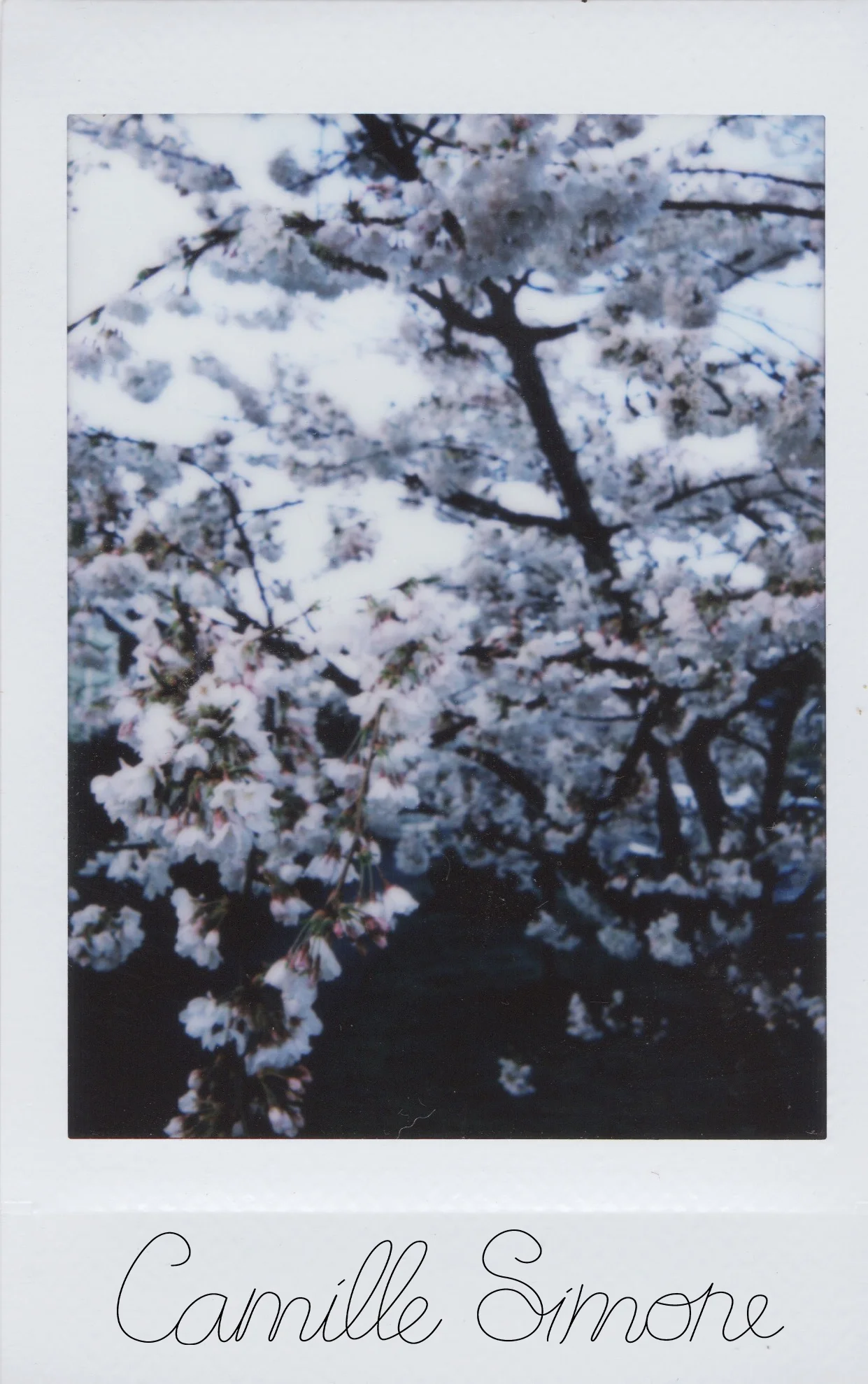 instax4final.jpg
