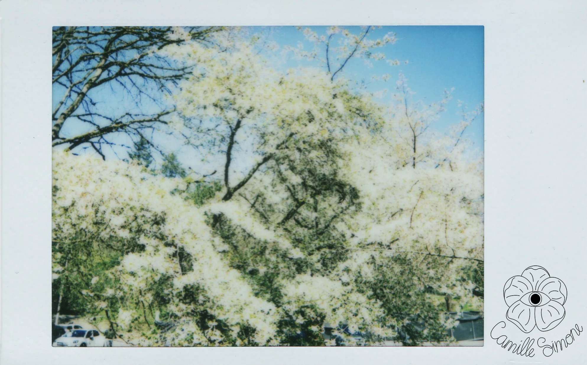 instax5final.jpg