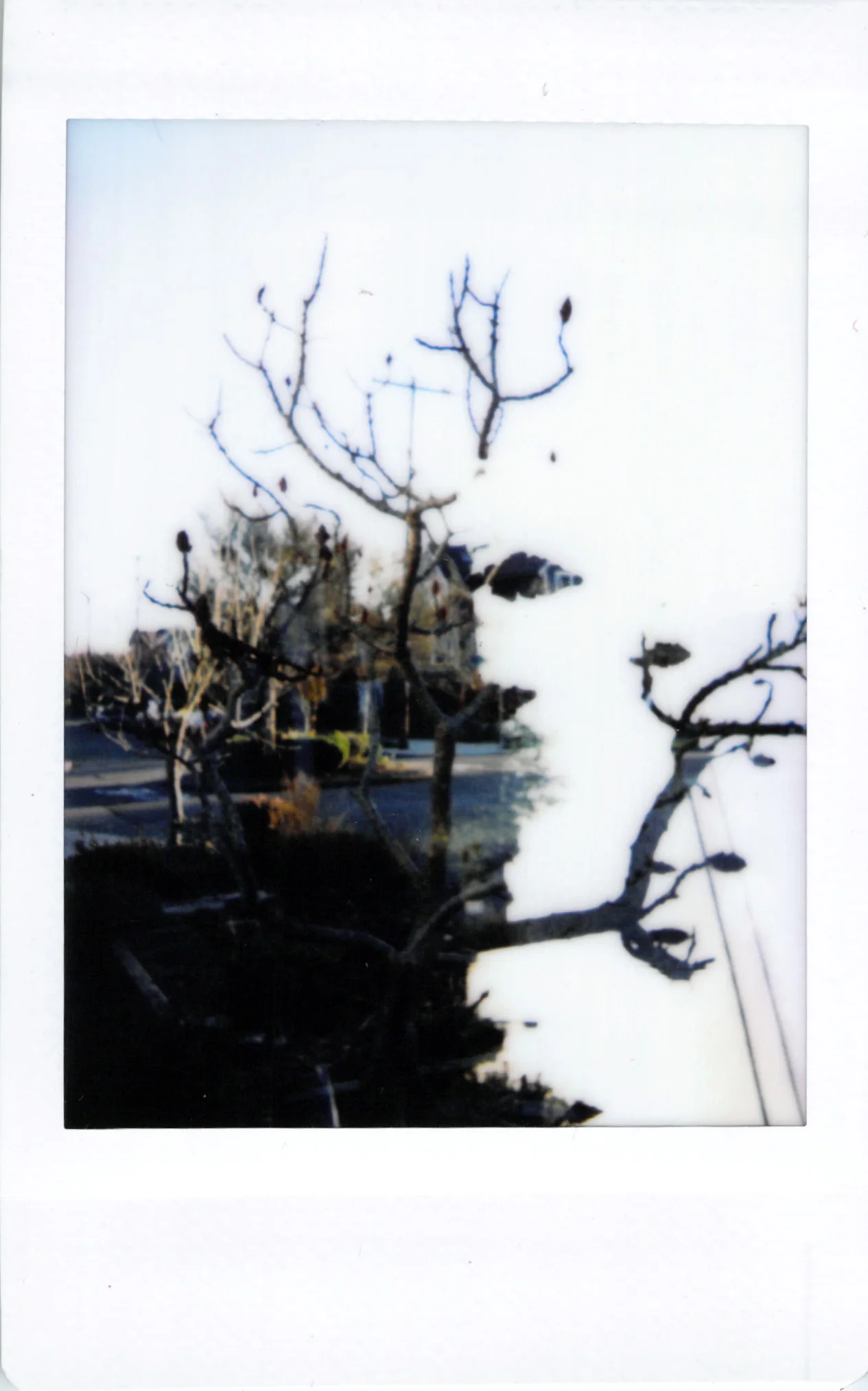 Instax_05.jpg