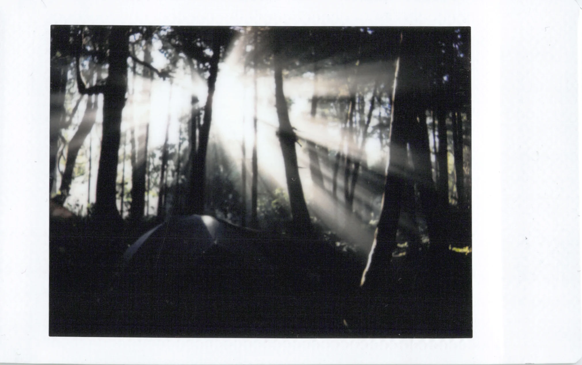 Instax_29.jpg