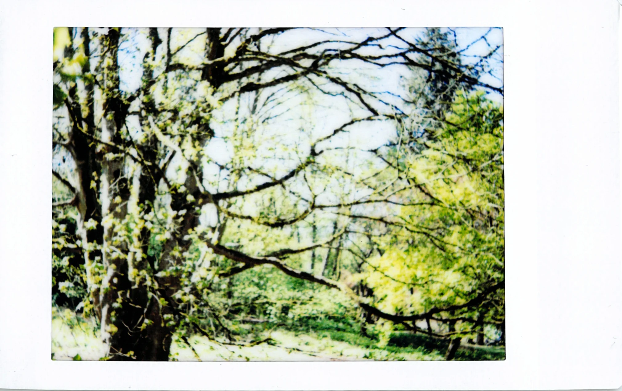 Instax_04.jpg