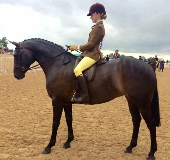 Gemini’s Classic Valentine – Full sister to Geminis Classic Opera