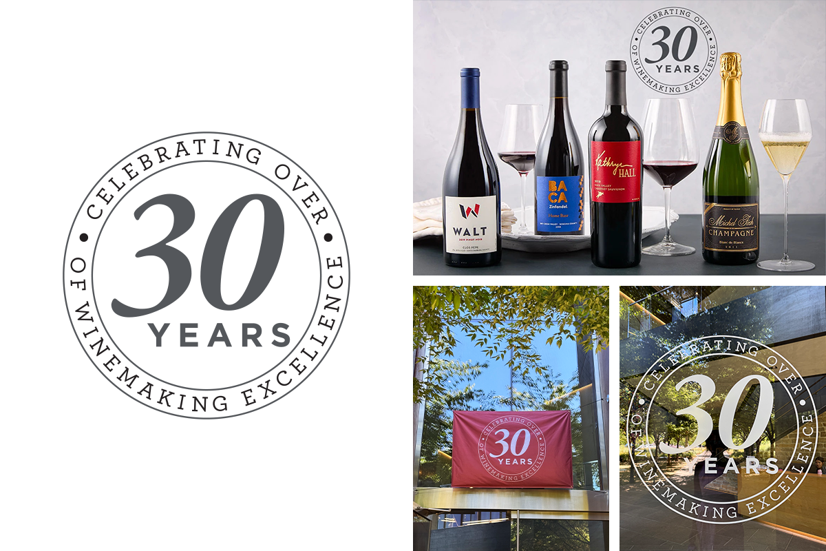 30 Year Anniversary Logo