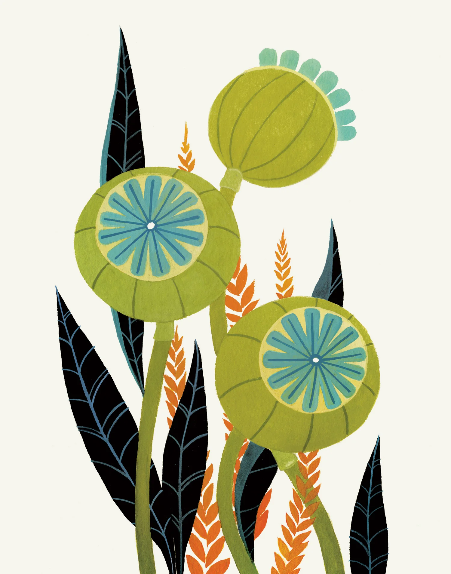 Olive Poppy Pods