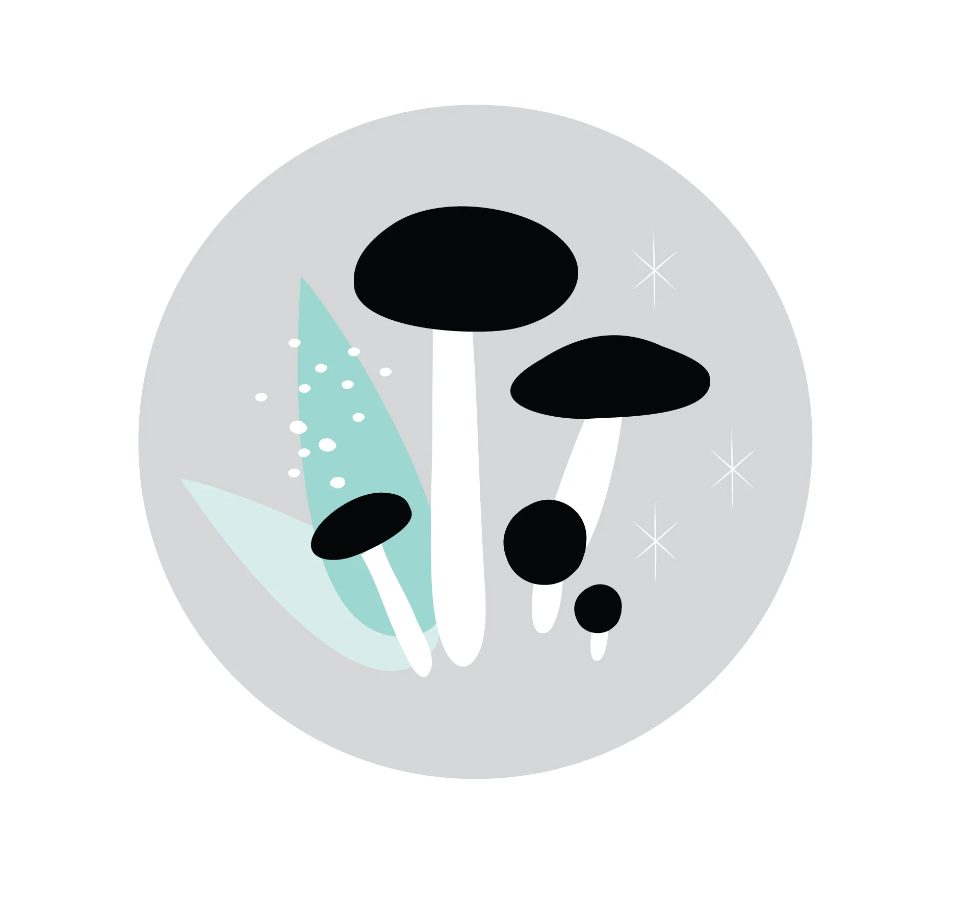shroomgraphic-02.jpg