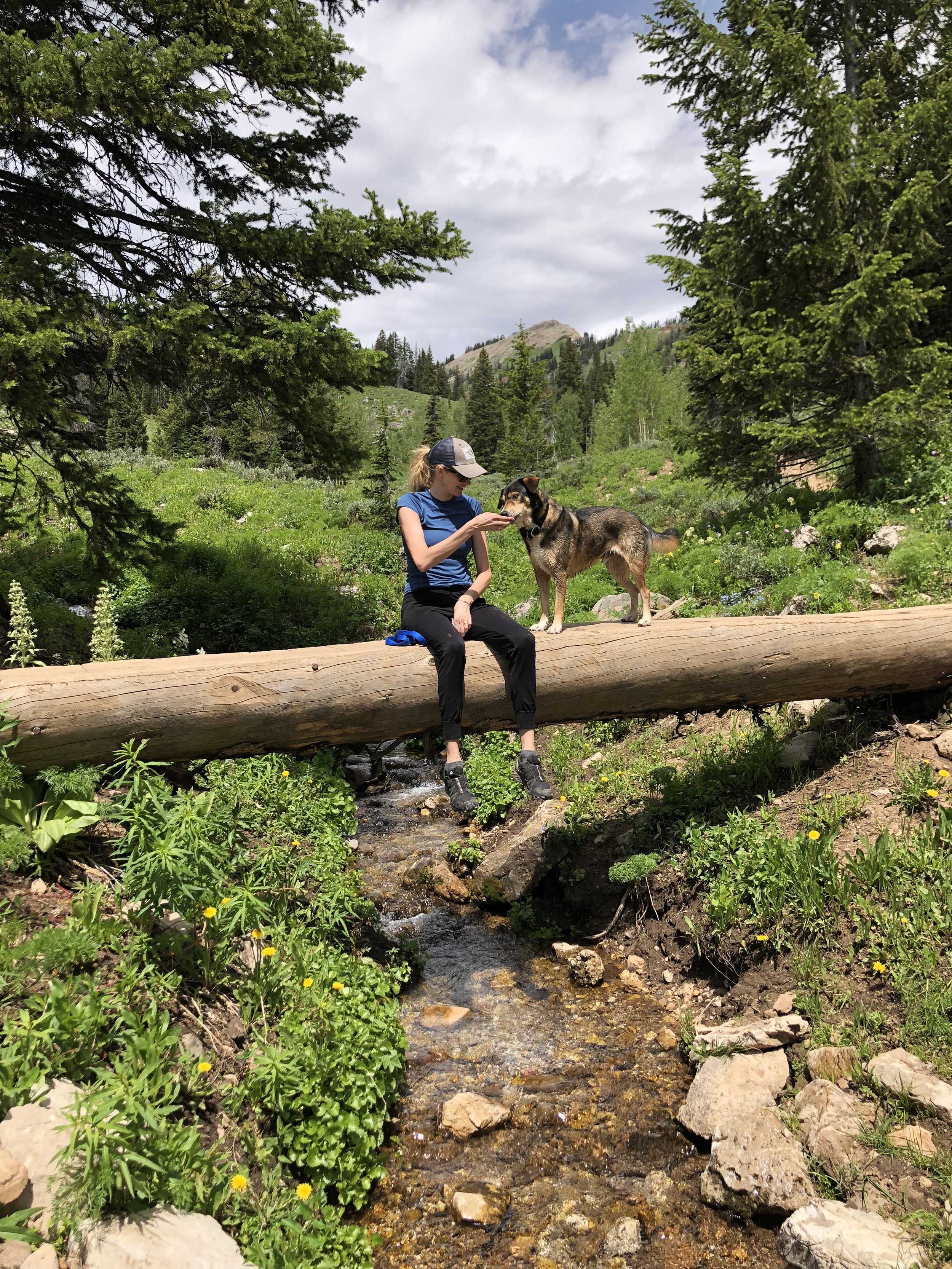 Emily's source of strength and happiness: Being in nature with her dogs