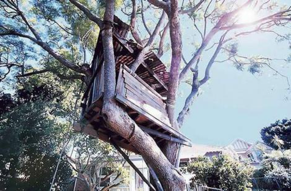 treehouse.png