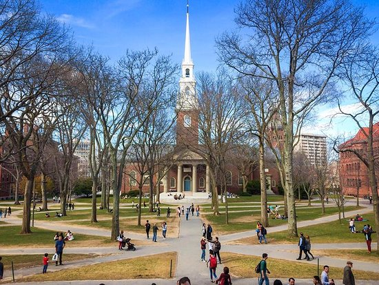 HarvardU.png