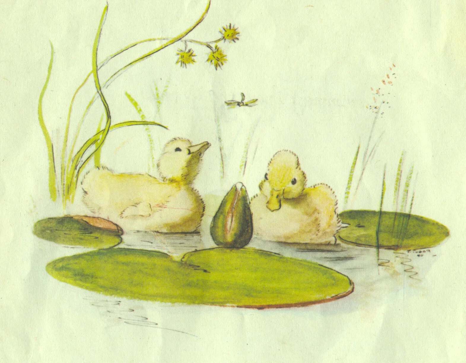 Ducklings illustration by Tasha Tudor