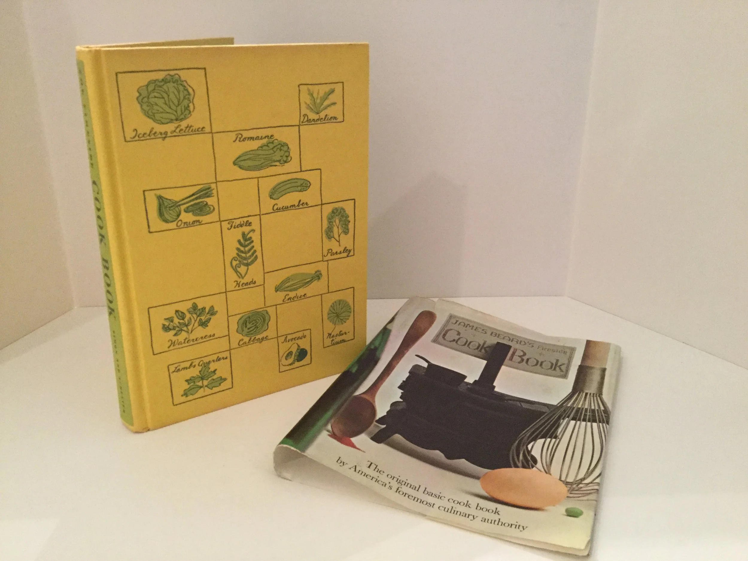 James Beard's Fireside Cook Book ... A Complete Guide to Fine Cooking for Beginner and Expert ... published by Simon and Schuster, 1949, 9th printing