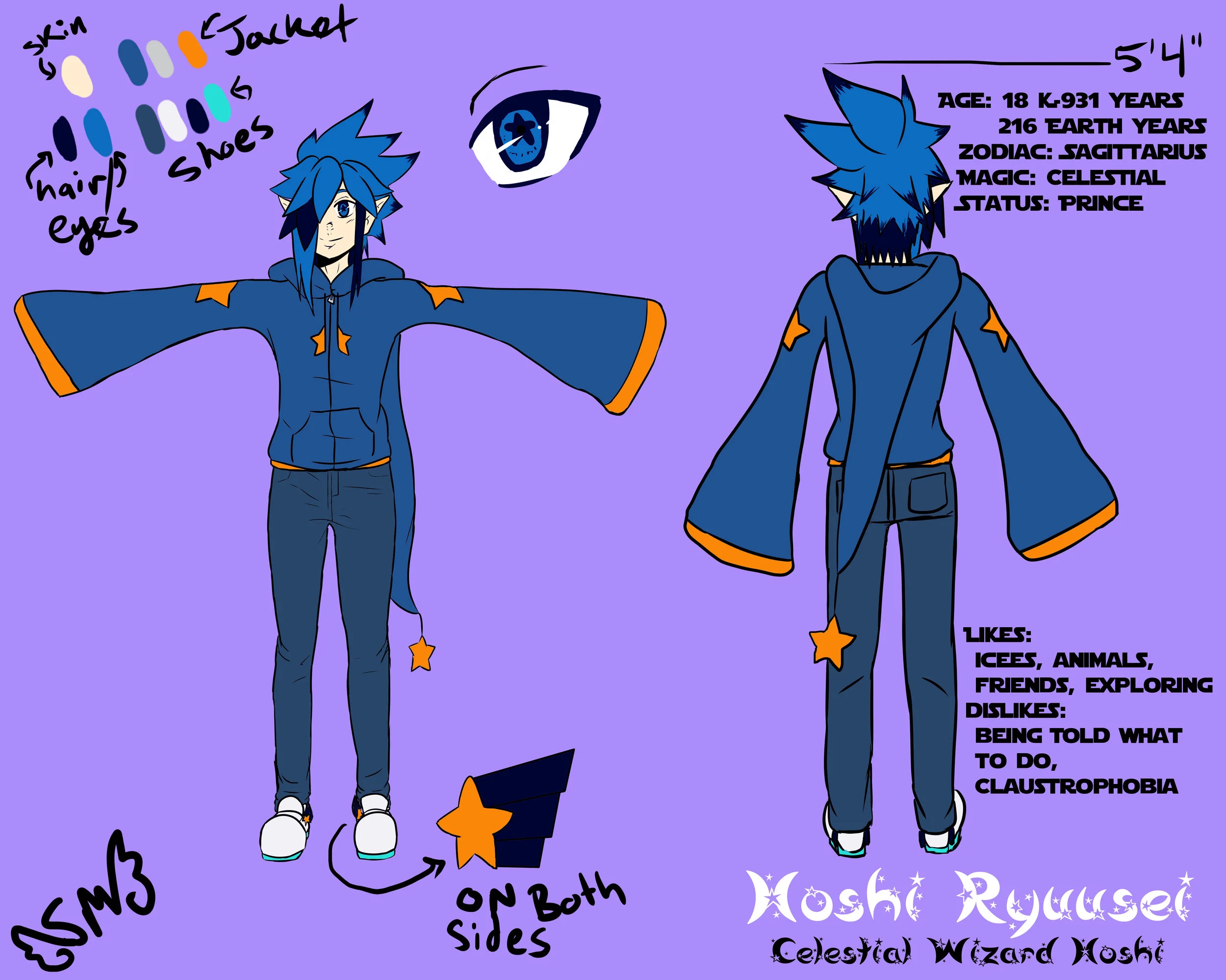 hoshi ref sheet.jpg