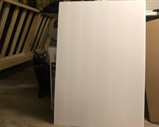 Foam Board (one or two) This will act as a  light diffuser or reflector. Side note: If you do not already have a reflector, this can also be wrapped in aluminum foil! (Cat optional.)
