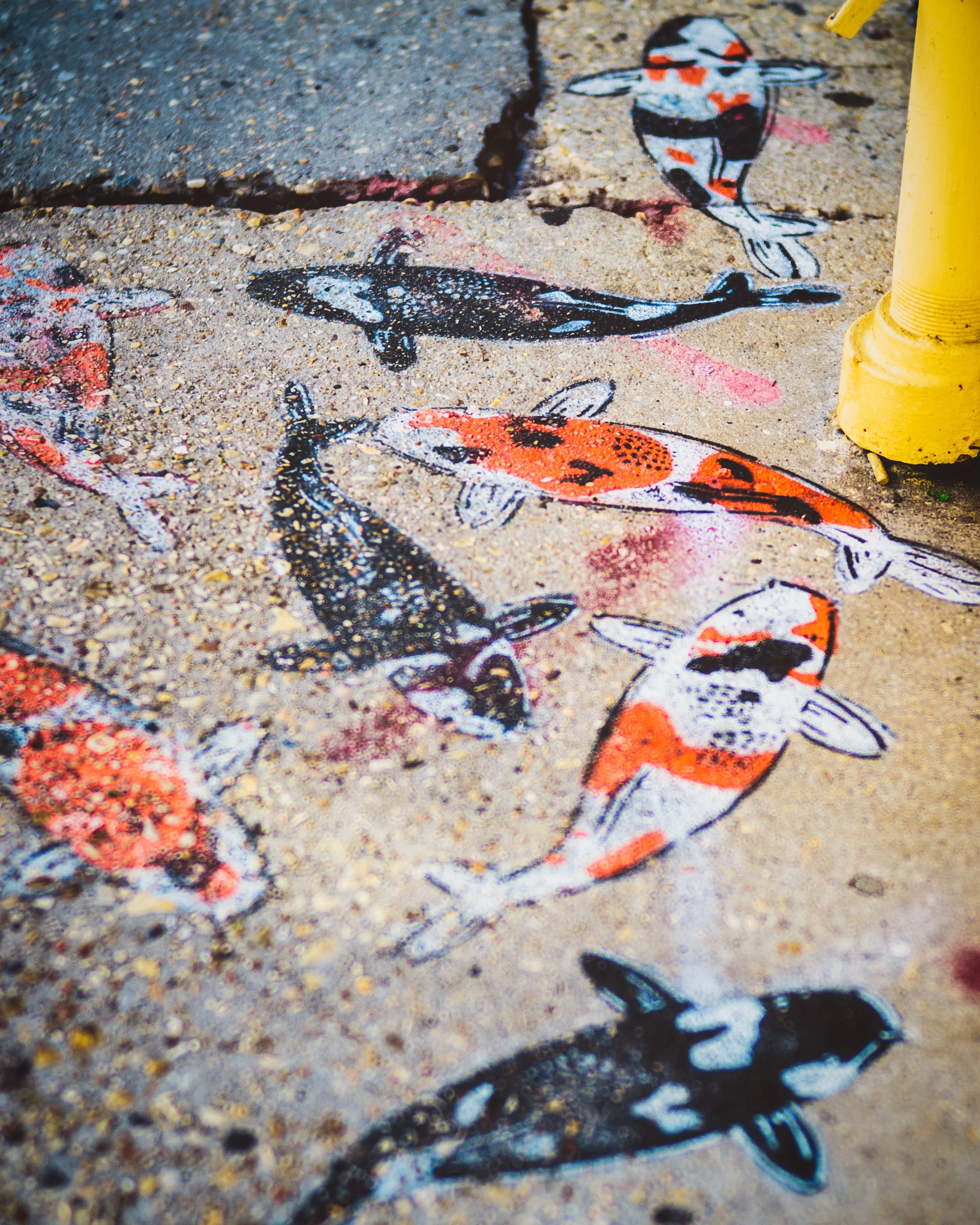 koistreetart.jpg