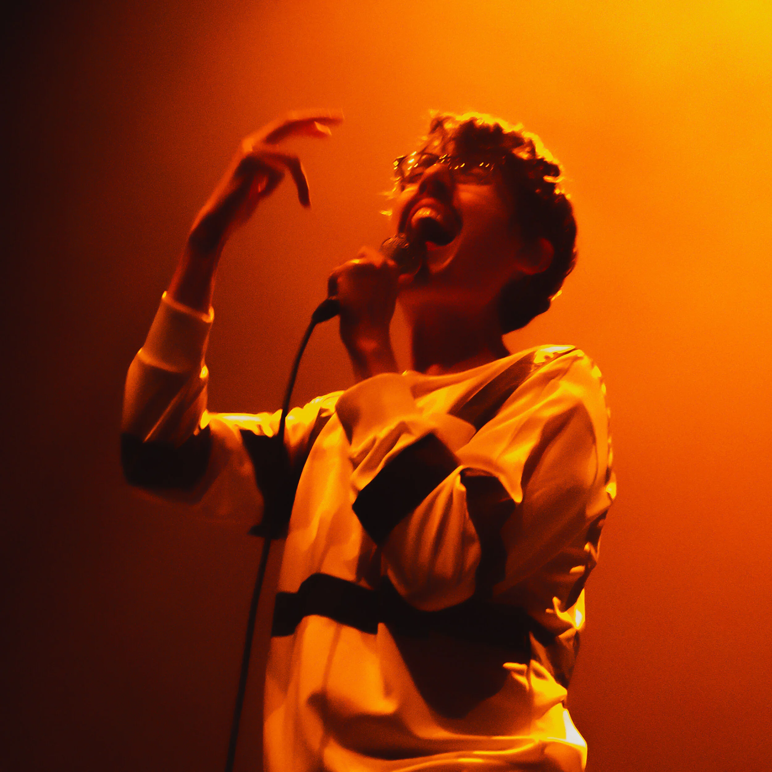 Joywave (Copy)