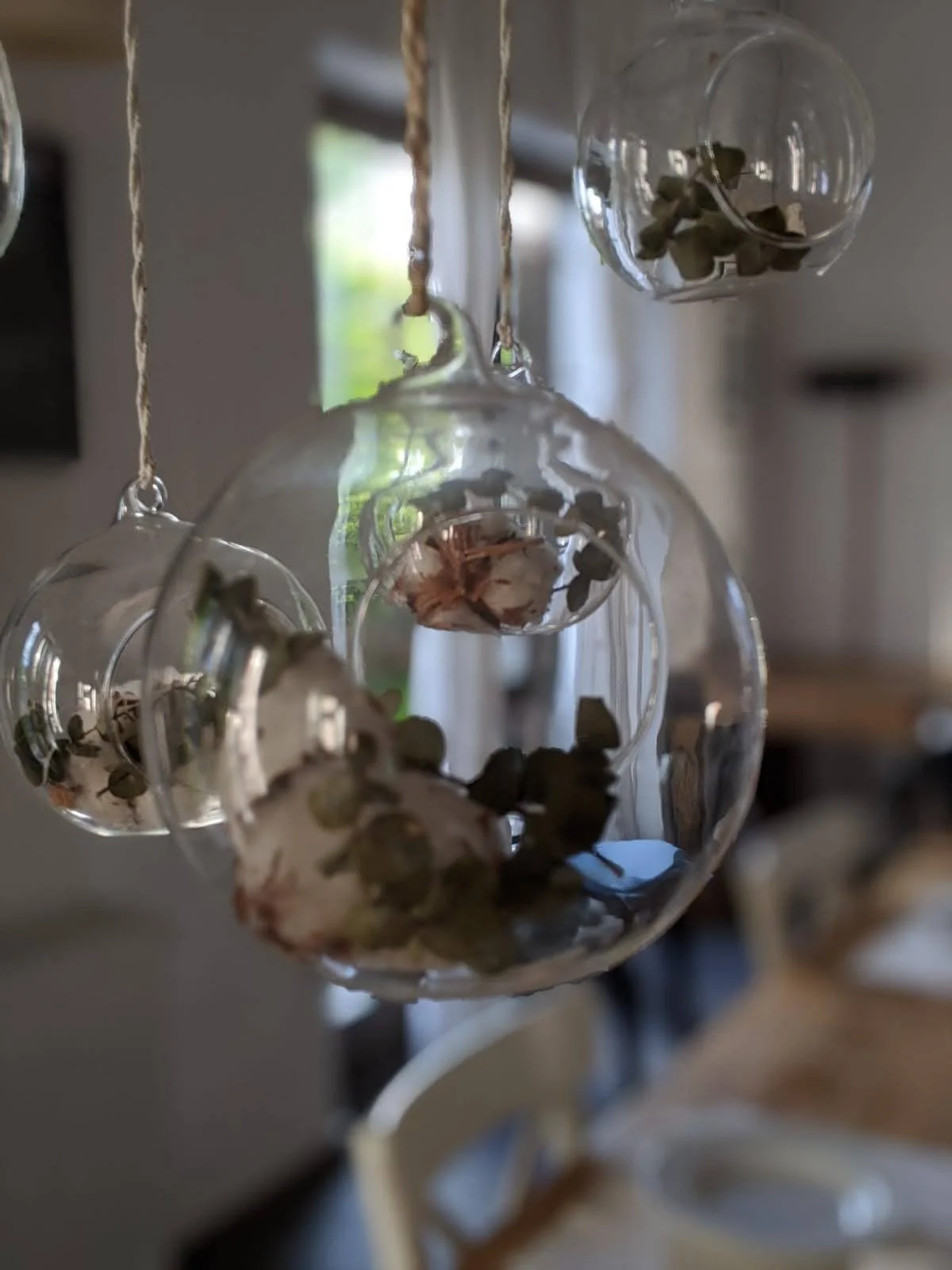 Barolo Detail 2.jpeg