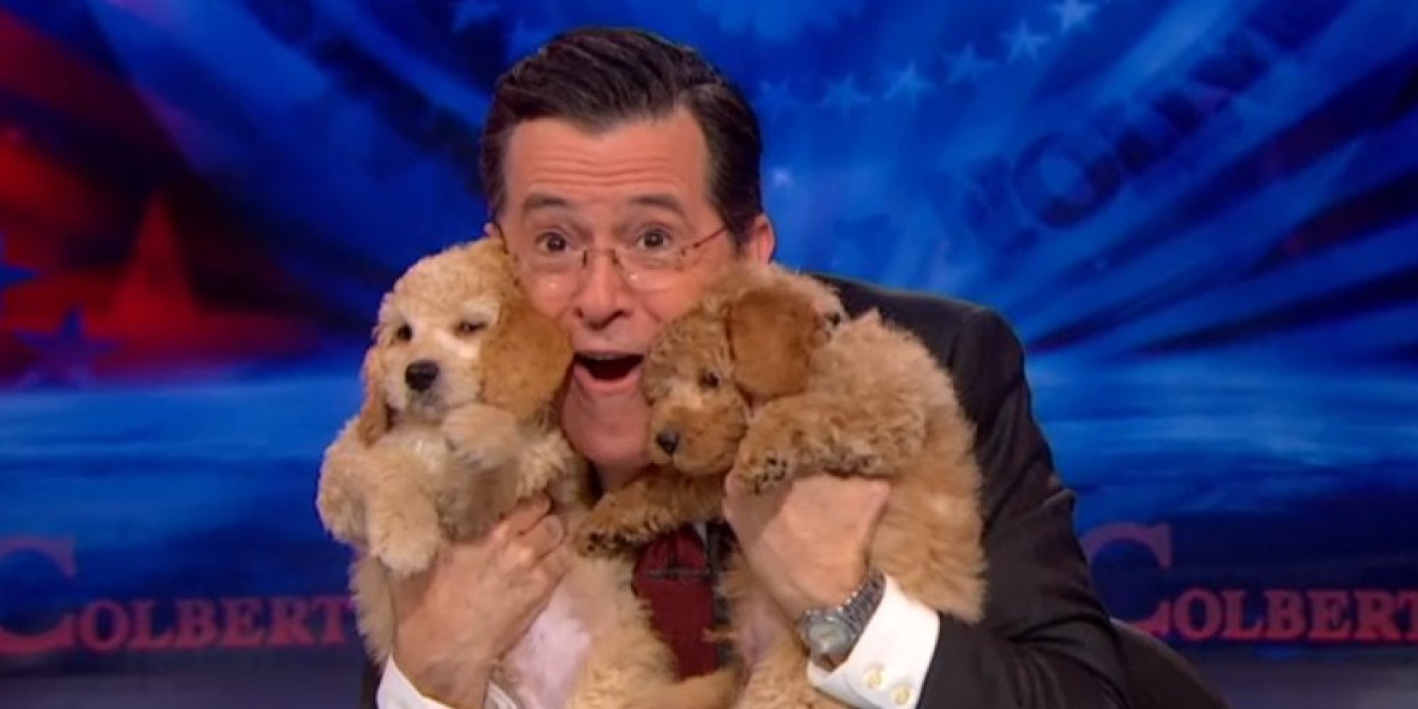 o-COLBERT-PUPPIES-facebook.jpg