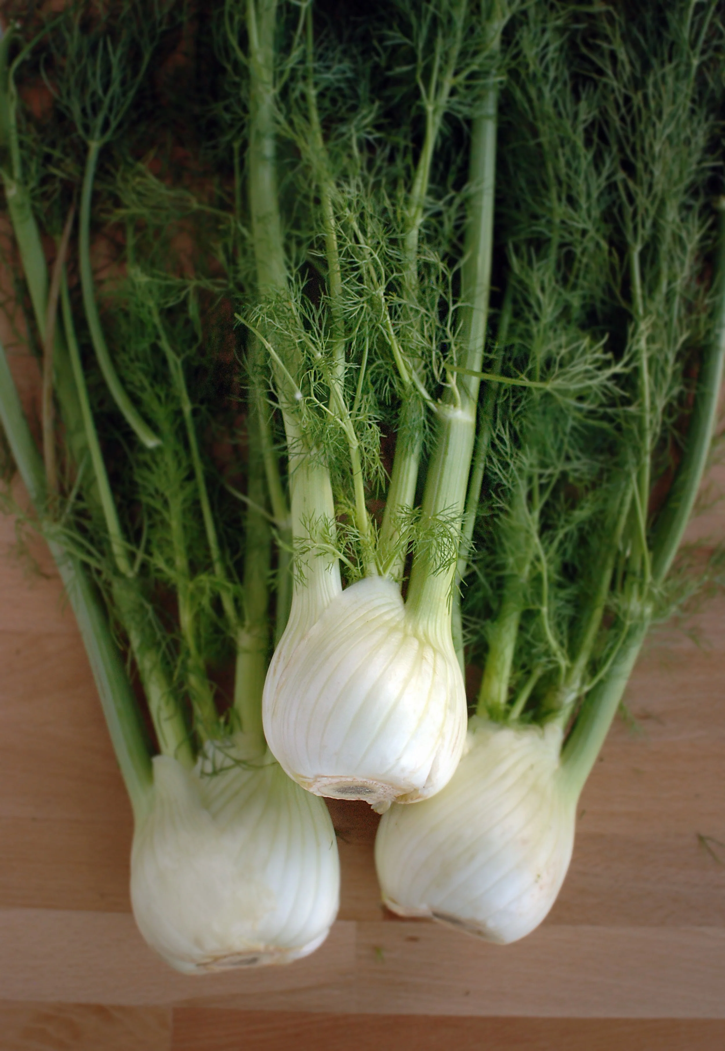 Fresh Fennel
