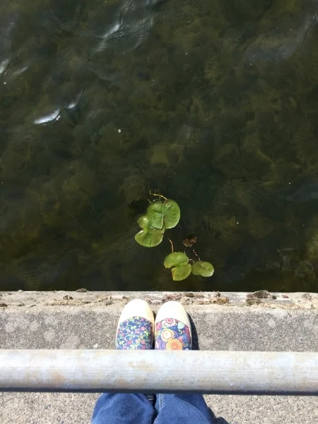 20180531_004146448_iOS.jpg