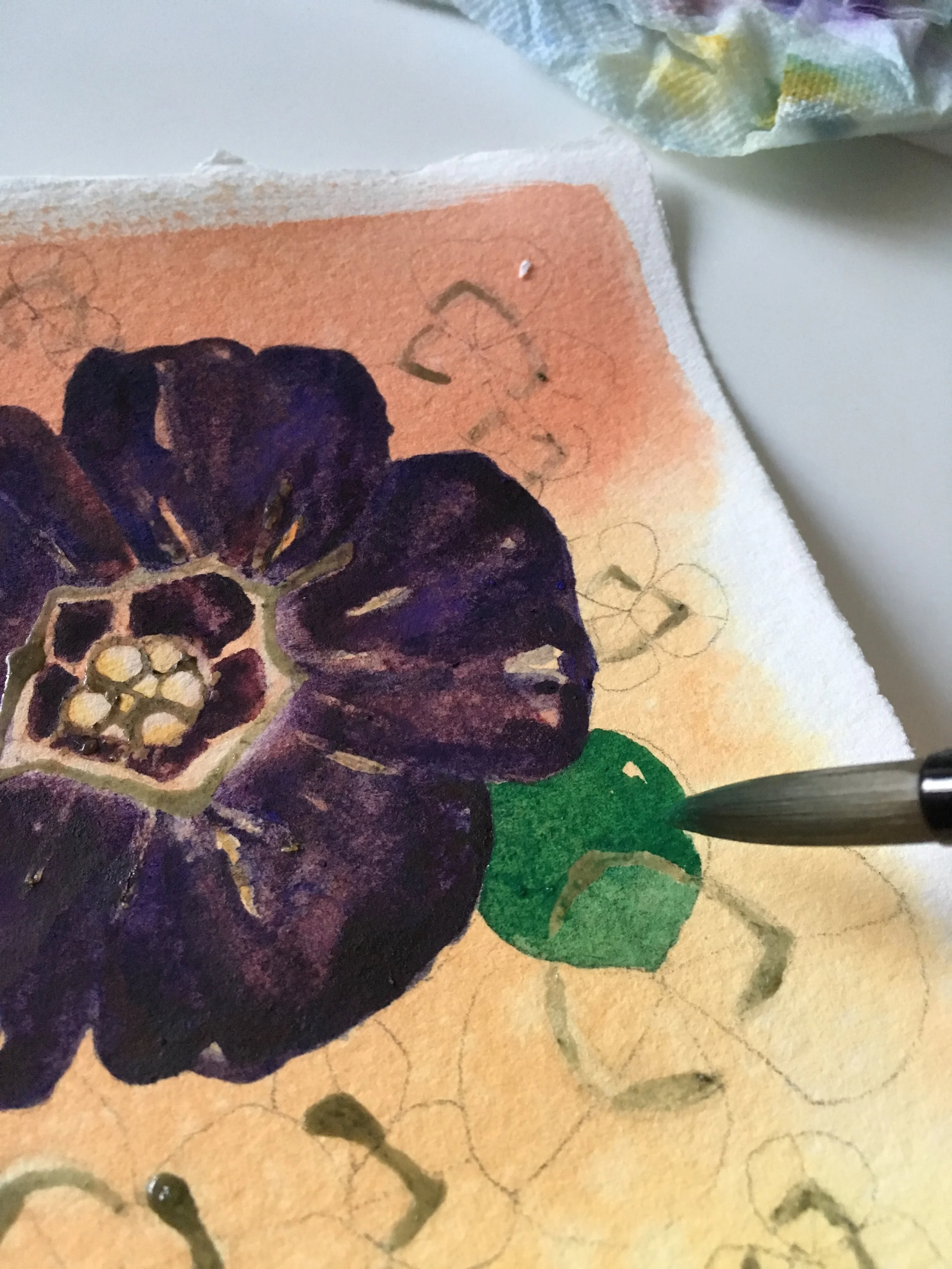 starting the clover