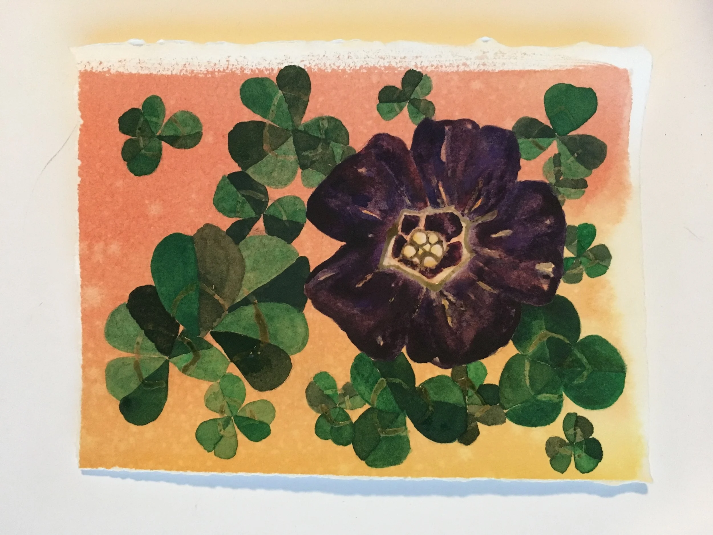 scattered clover