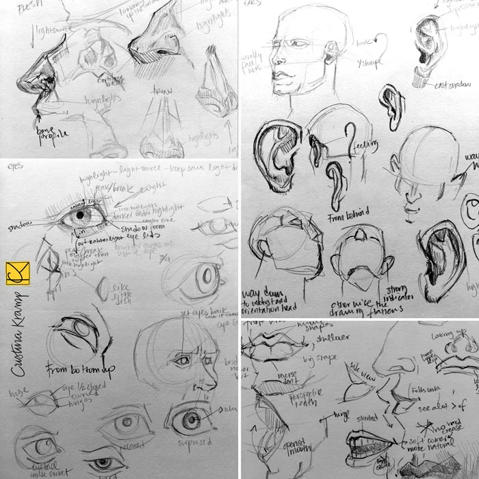 lots of face parts and sketches