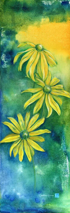 3 Echinacea Siblings