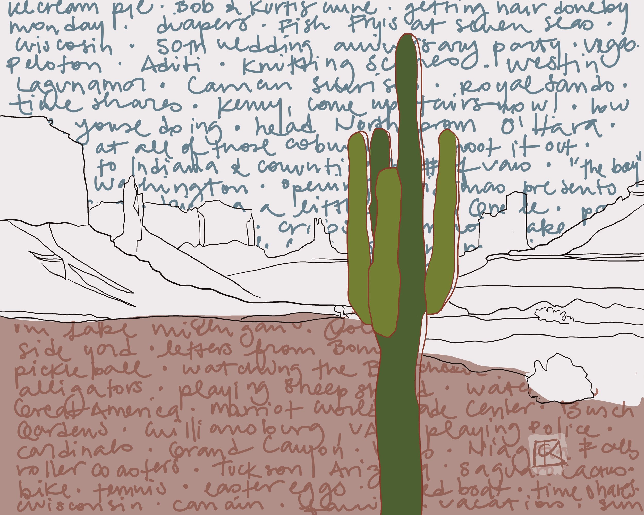 The Saguaro cactus and Arizona landscape with a sky and ground full of memories