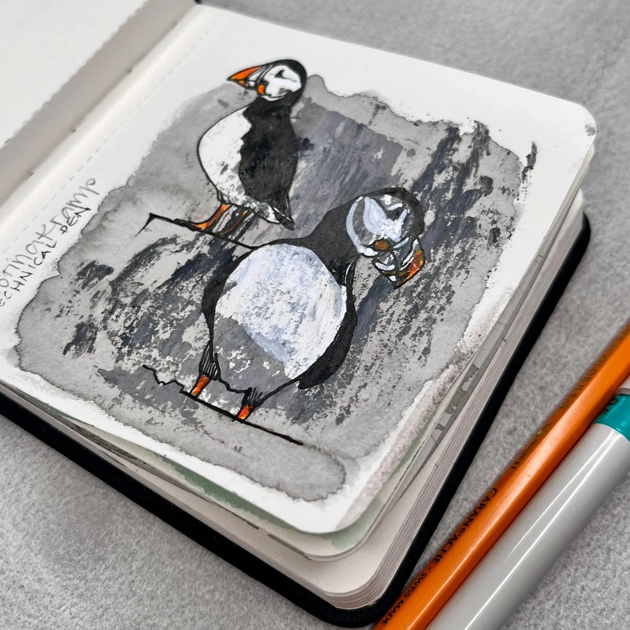 puffins