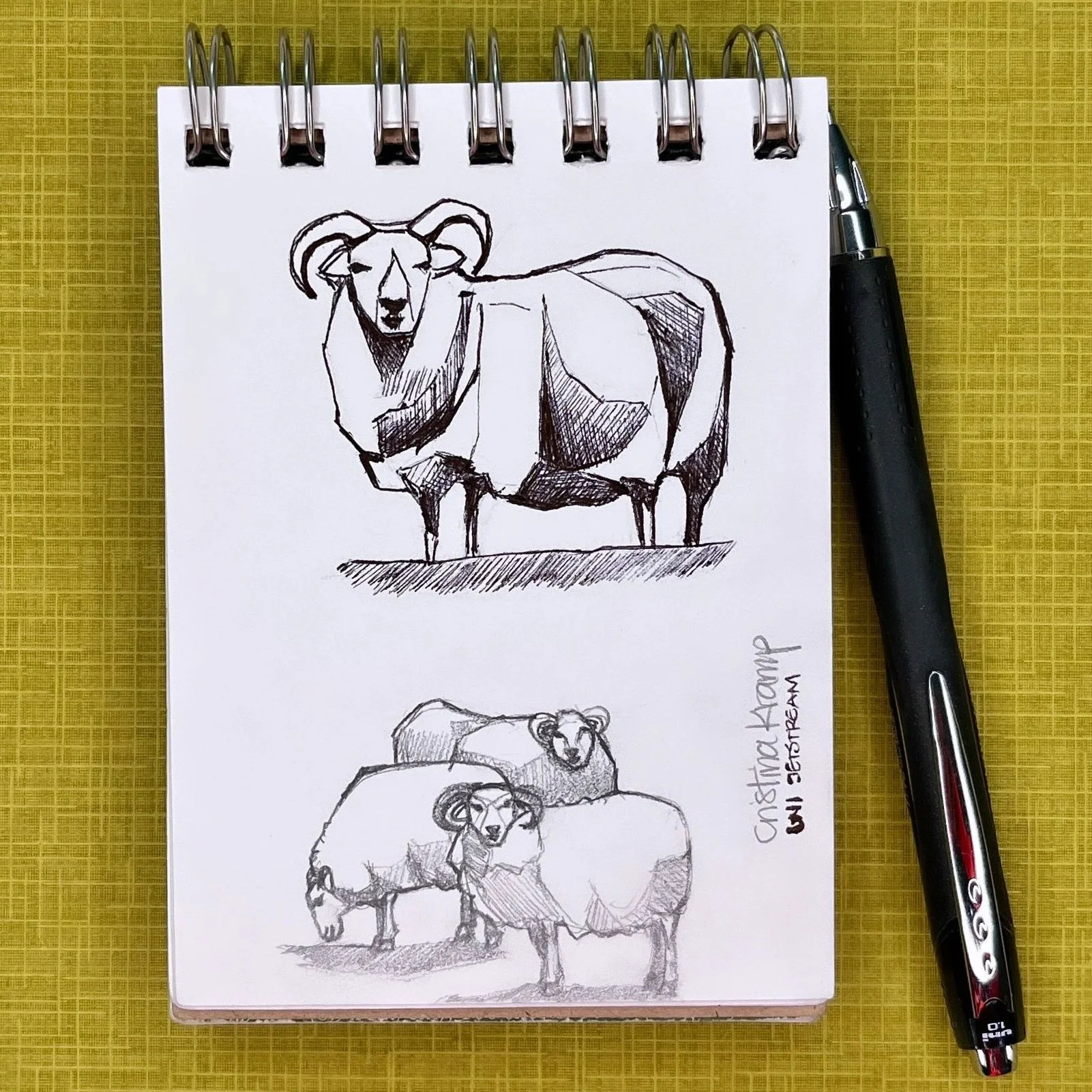 cutest sheep