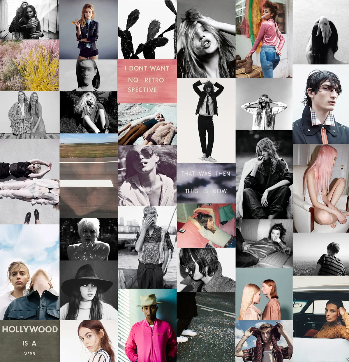 Frankie_Moodboardlong.jpg